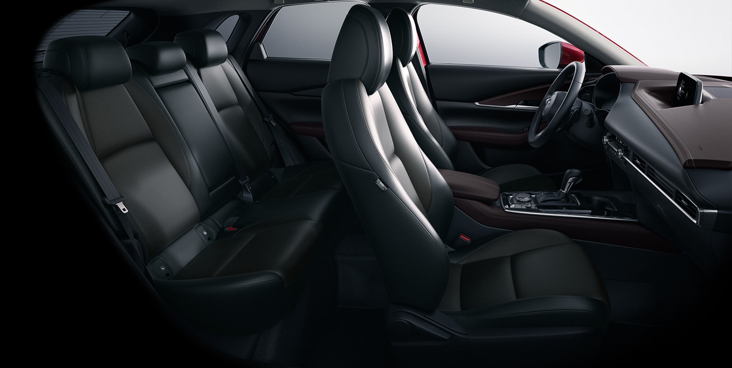 2020 Mazda CX-30 Interior Elements