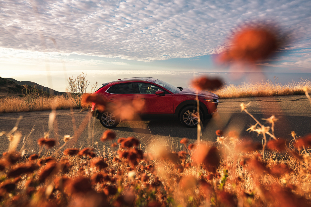 Mazda CX-30 Crossover SUV – G-Vectoring Control Plus