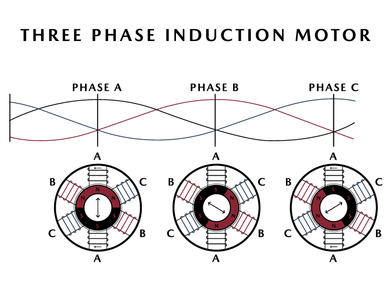 Three Phase Induction Motor