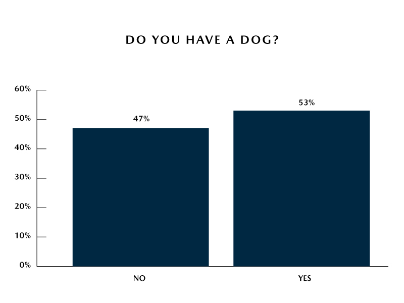 Mazda Survey – 53% of Americans Have a Dog