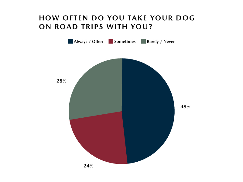 Mazda Survey – 48% of Americans often Take Dogs on Road Trips
