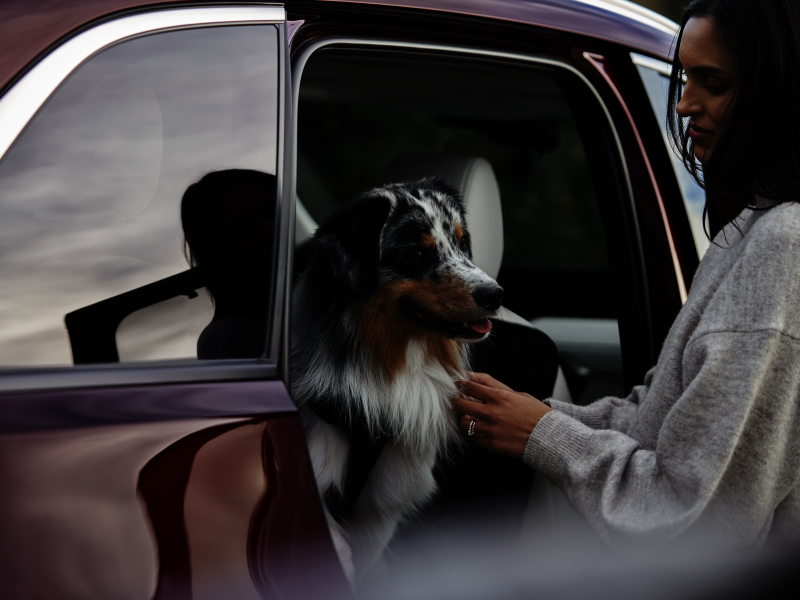 Road Tripping with Dogs – Mazda CX-90 SUV