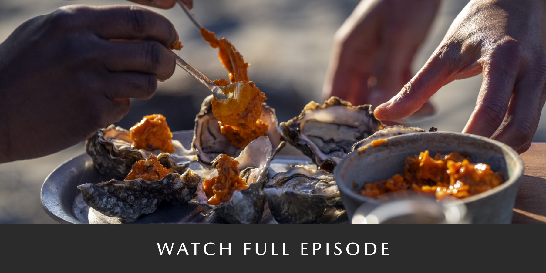 Mazda CX-50 Tasting Wild – Watch the Coastline Episode
