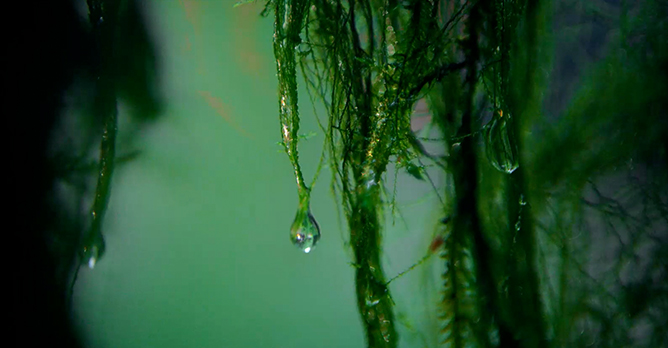 Mazda CX-50 Stories – We're More Human in Nature Mazda CX-50 Stories – We're More Human in Nature