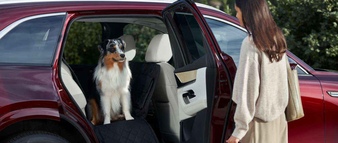 Mazda CX-90 Accessories – Pet Seat Protector